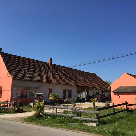Gite Chez Marcel Et Bea La Chapelle-Saint-Sauveur  Buitenkant foto